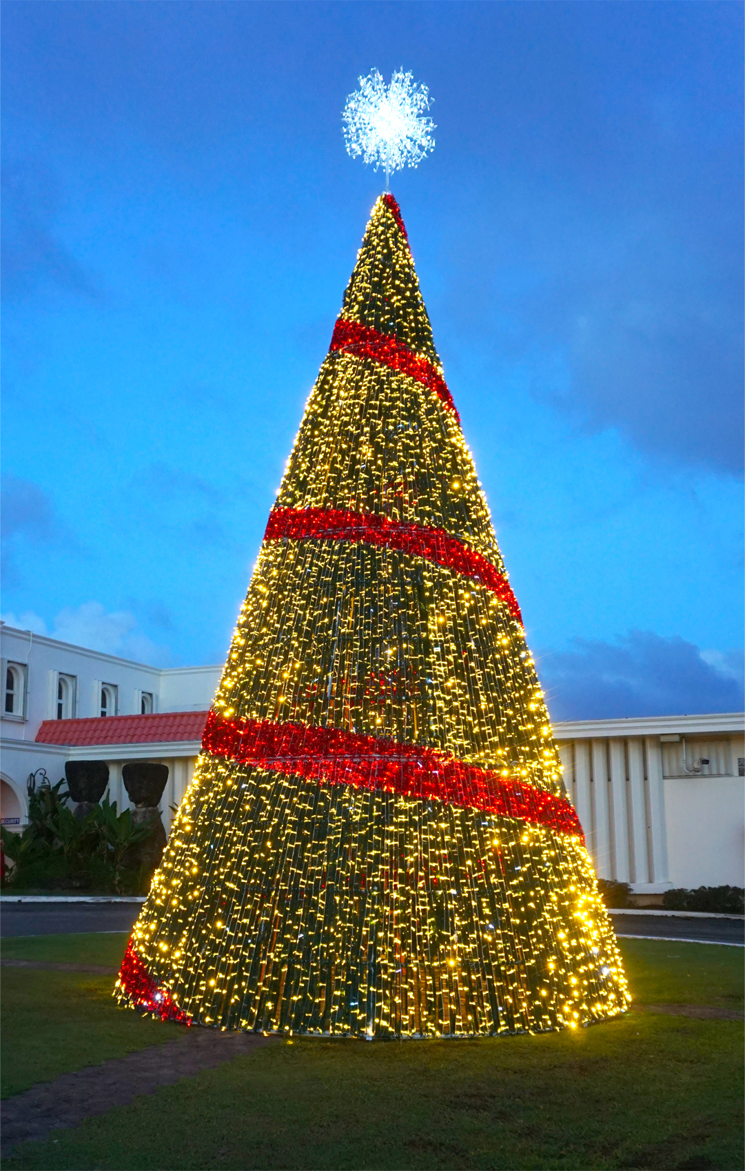 Governor's Holiday House-Christmas Tree
