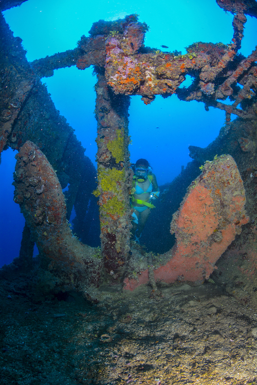 Diver inspects a buoy anchor placed in the outer walkway
